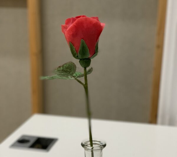 The London Cake Academy - Valentine single stem sugar rose bud class