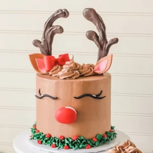 The London Cake Academy - christmas cake class - Rudolph